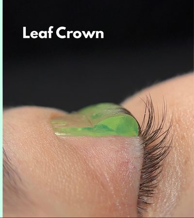 Leaf Crown