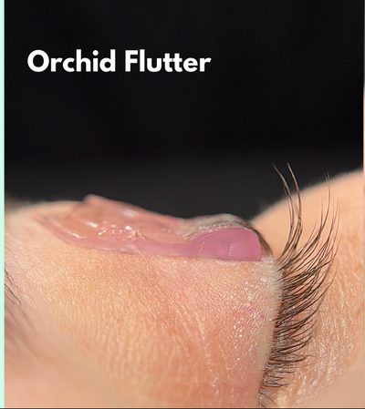 Orchid Flutter