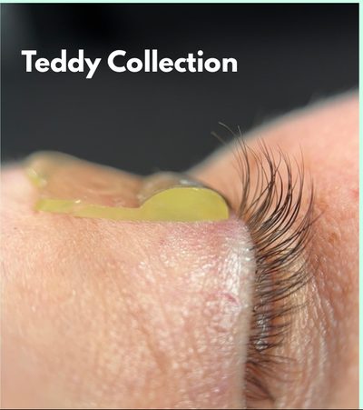 Teddy Collection