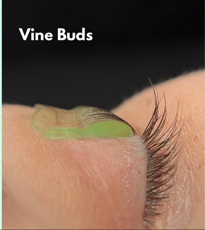 Vine Buds